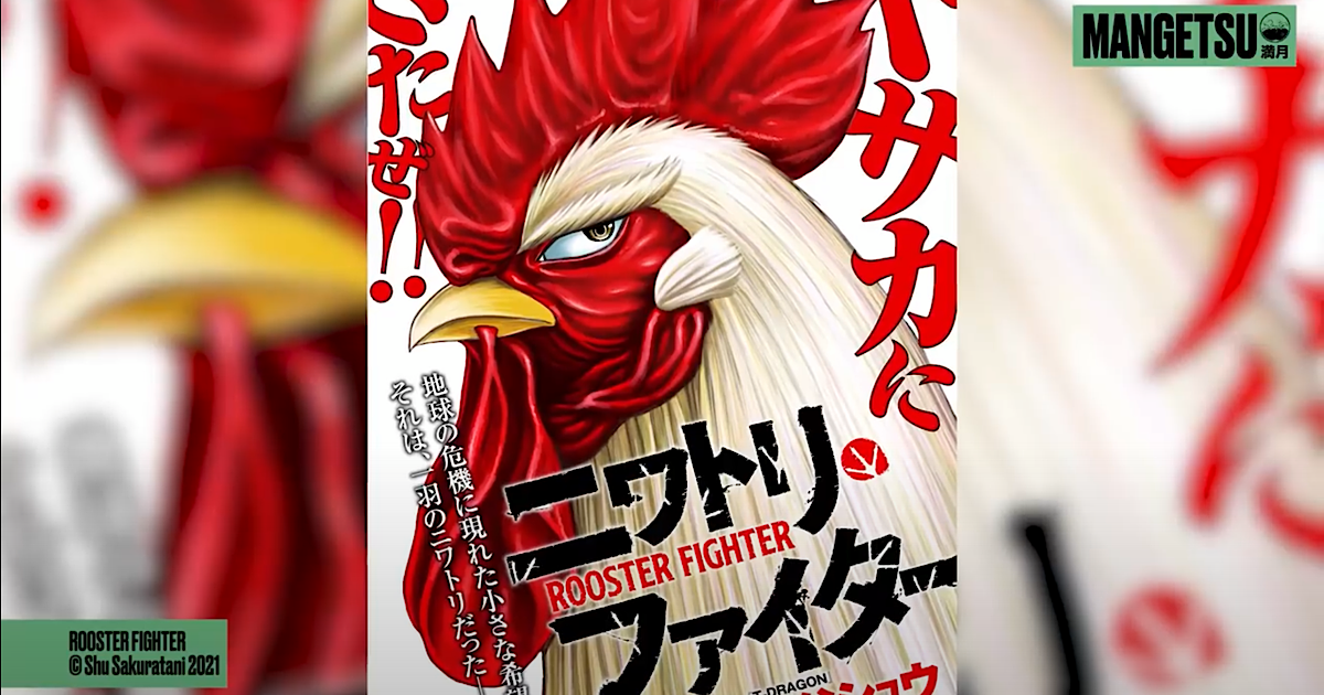 Exclusive Shu Sakuratani Talks About Rooster Fighter Manga Western  Influence  Life As Mangaka  Animehunch