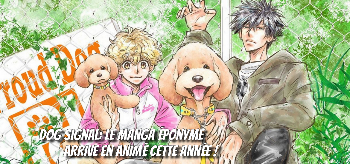 Dog Signal Anime Josei Adaptation animée date de sortie octobre 2023 Anime automne 2023 Bande-annonce vidéo Teaser Trailer