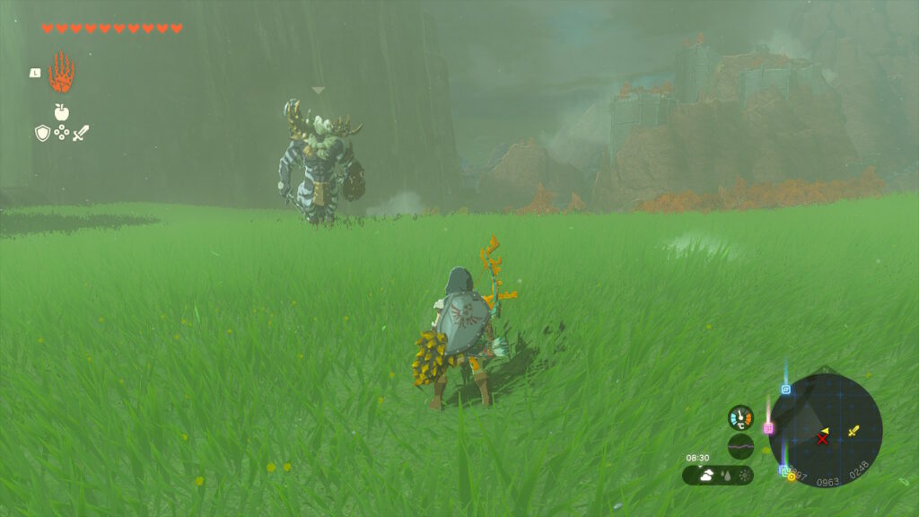 Zelda Tears of the Kingdom  