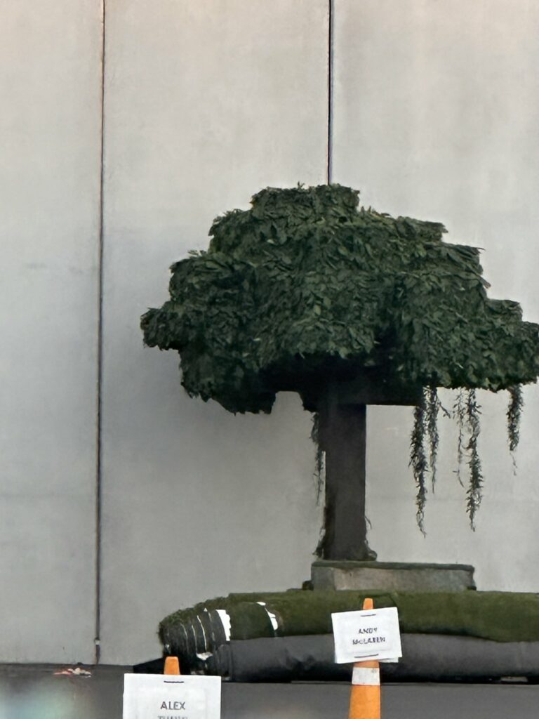 Zoom sur l'arbre du film monté