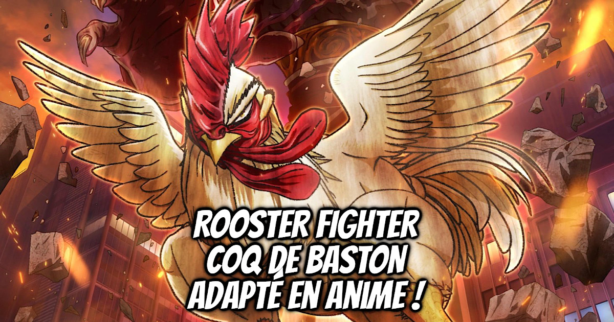 ROOSTER FIGHTER COQ DE BASTON adapté en anime ! - Gaak