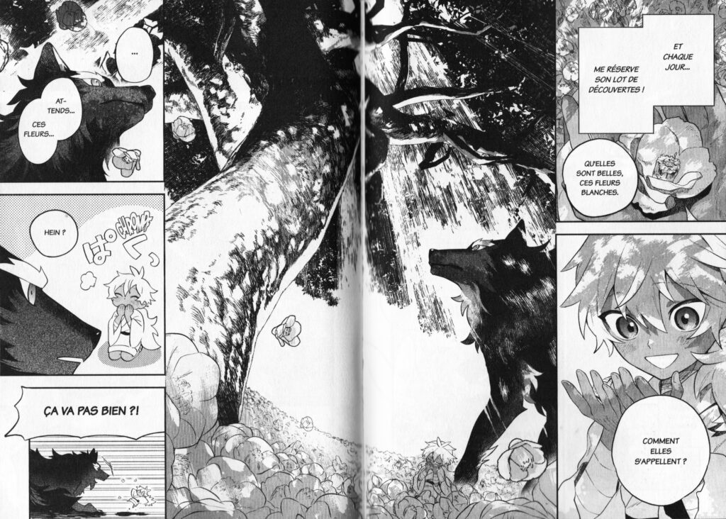 Les trésors du nain, manga, seinen, fantasy, Princesse Mononoke, Mononoke hime, avis, review, critique, date de sortie, dieu, loup, Aux côtés du dieu loup, The beautiful deity, Folklore, Utsukushii Bakemono, Doki-doki, yomoko yamamoto, 