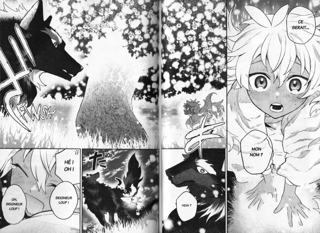 Les trésors du nain, manga, seinen, fantasy, Princesse Mononoke, Mononoke hime, avis, review, critique, date de sortie, dieu, loup, Aux côtés du dieu loup, The beautiful deity, Folklore, Utsukushii Bakemono, Doki-doki, yomoko yamamoto, 