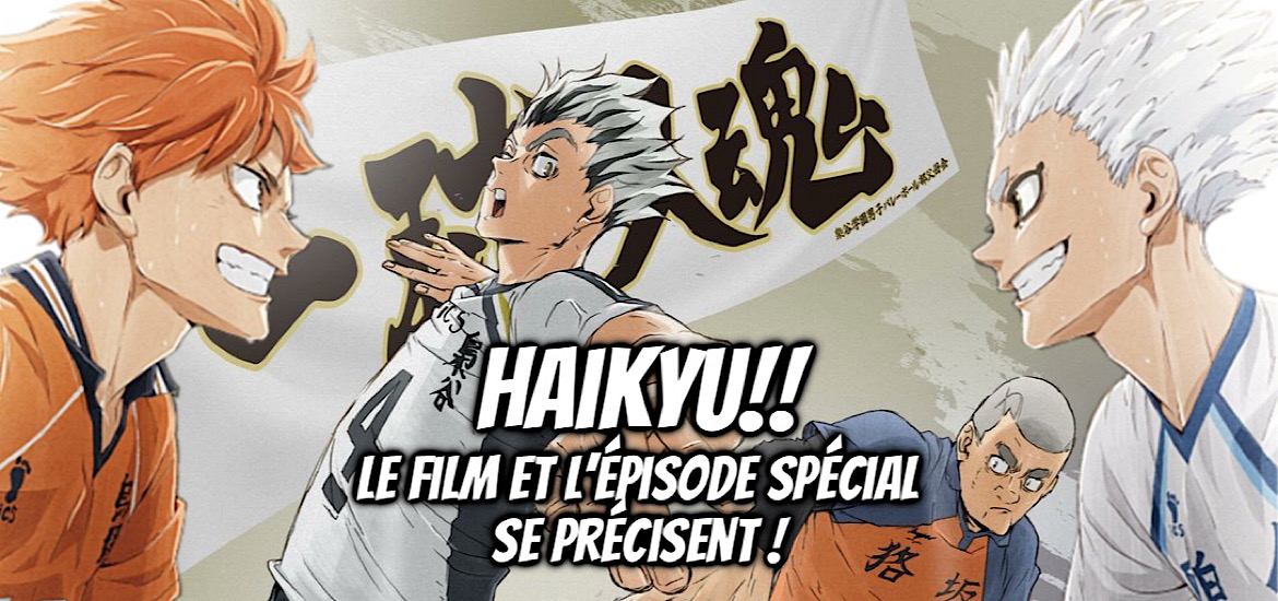 Haikyu, Haikyu!!, suite, anime, adaptation, film, saison, spin-off, teaser, trailer, bande-annonce, date de sortie, production I.G, Haikyu!! VS The Little Giant, Haikyu!! Where the Monsters Go, Where the monsters Go, The Little Giant, Fukurodani, Mujinazaka, Le Petit Géant, 2027,