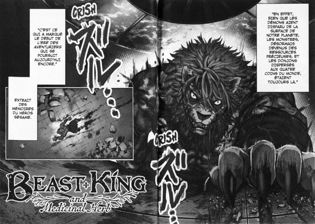 Les trésors du nain, avis, review, critique, beast king and medicinal herb, fantasy, frieren, médecine, médical, écologie, seinen, juuou to yakusou, doki-doki, web novel, light novel, manga, tatsukasu konda, asahi sakano, momochichi,