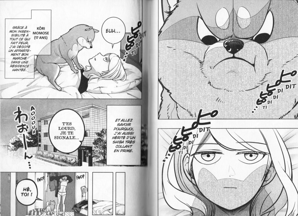Les trésors du nain, shiba inu rooms, manga, avis, review, critique, doki-doki, comédie, fantastique, chien, fantôme, esprit, jibakurei, Esu Oomori, slice of life, animaux, yokai, 