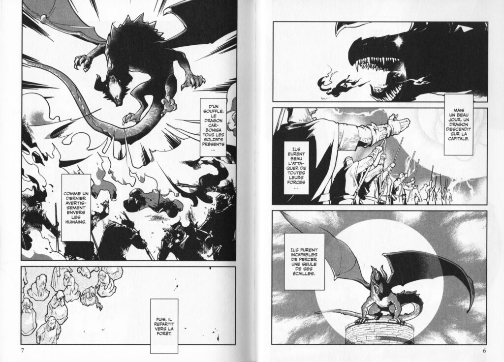Les trésors du nain, avis, review, critique, cats and dragon, the cat and the dragon, neko to ryuu, fantasy, slice of life, tranche de vie, doki doki, manga, light novel, web novel, adaptation, izumi sasaki, amara, mai okuma,
